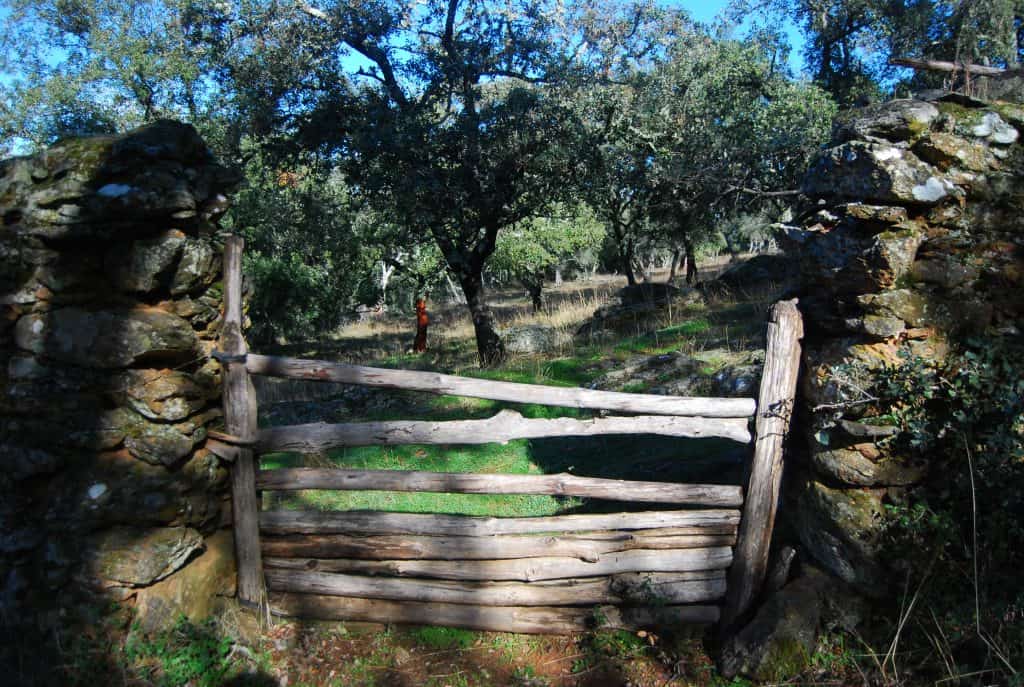  Sierra de Aracena in Picos y Aroche Huelva