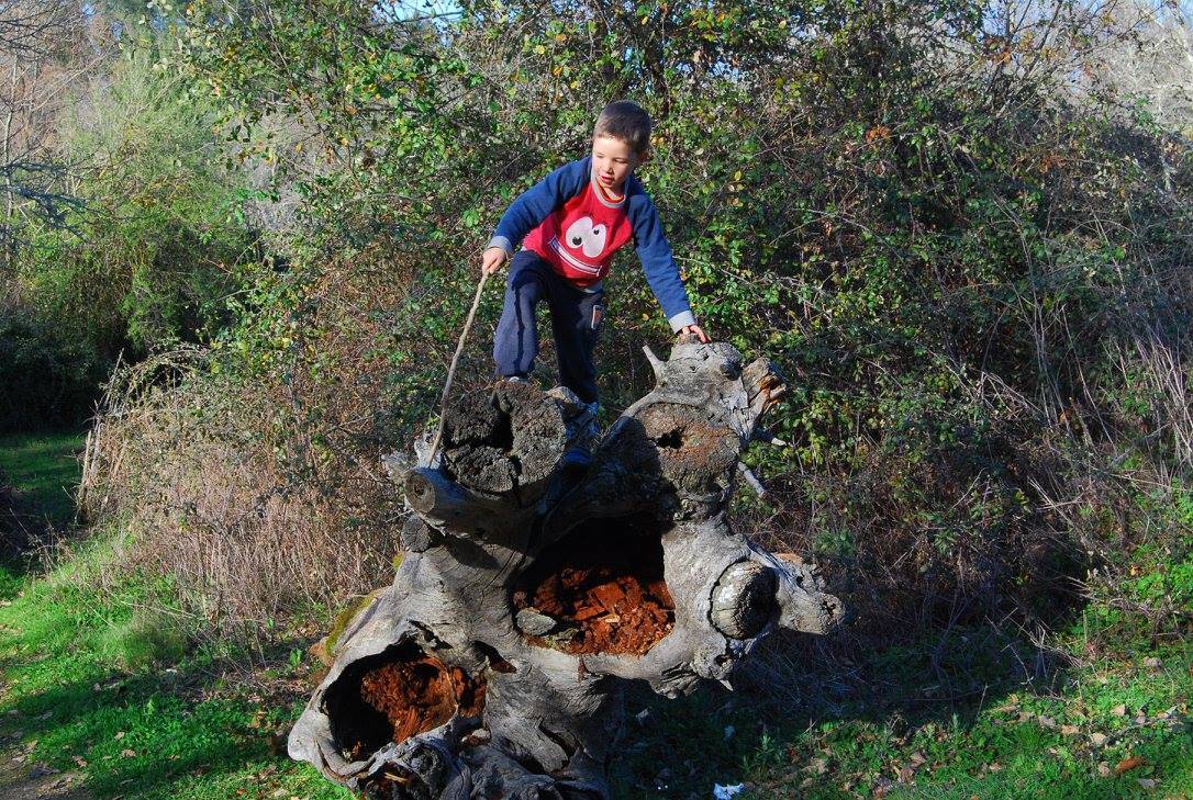 Gezinsvakanties met kinderen 18 Adventure in nature