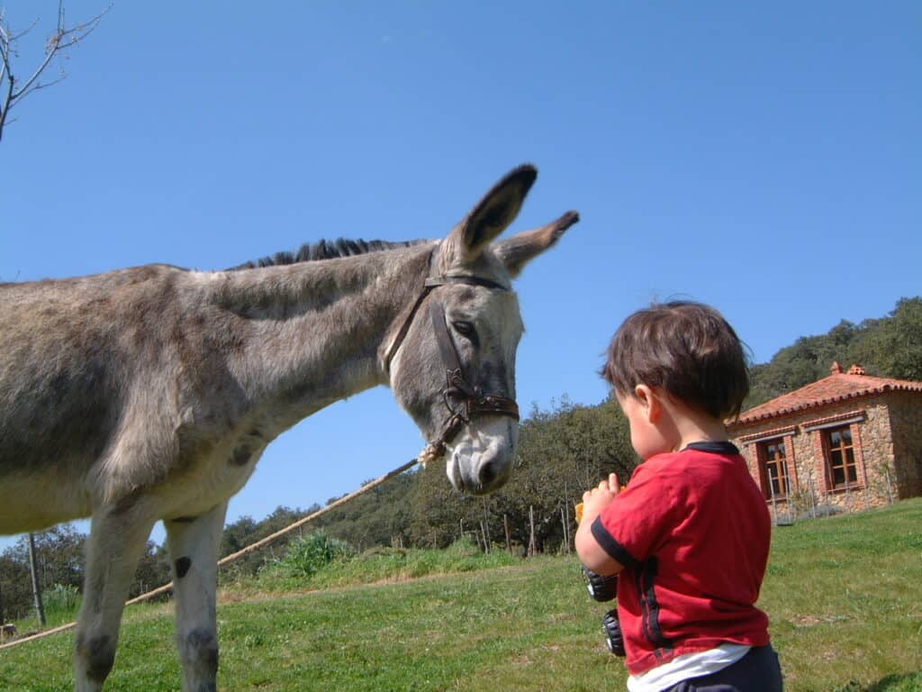 Gezinsvakanties met kinderen 4 Kinderen die de natuur ontdekken