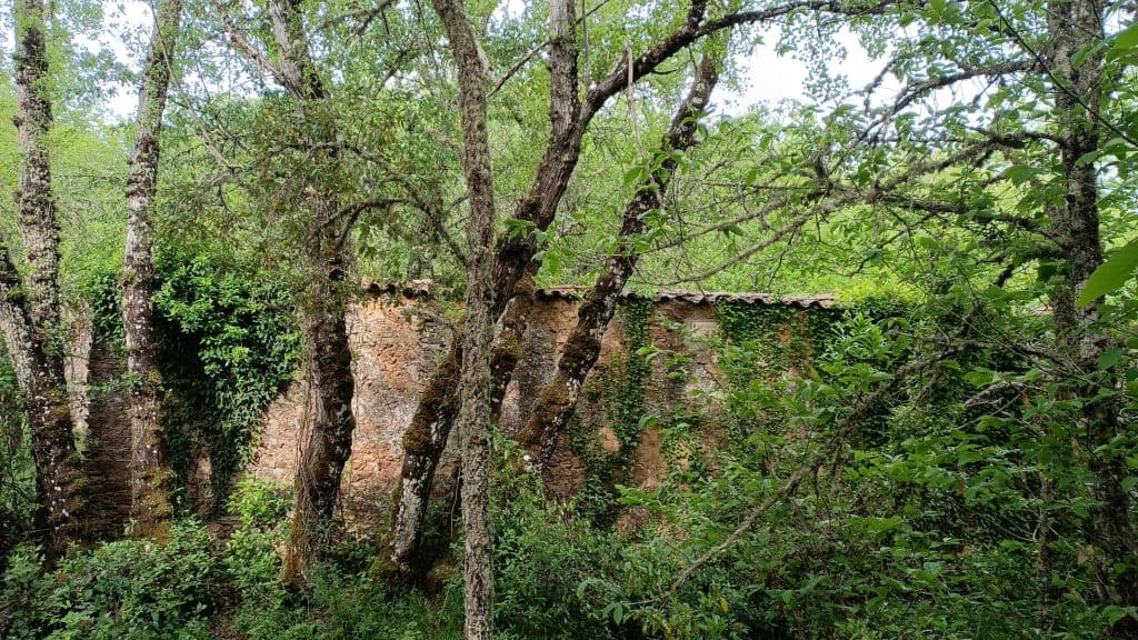  Sierra de Aracena in Picos y Aroche Huelva