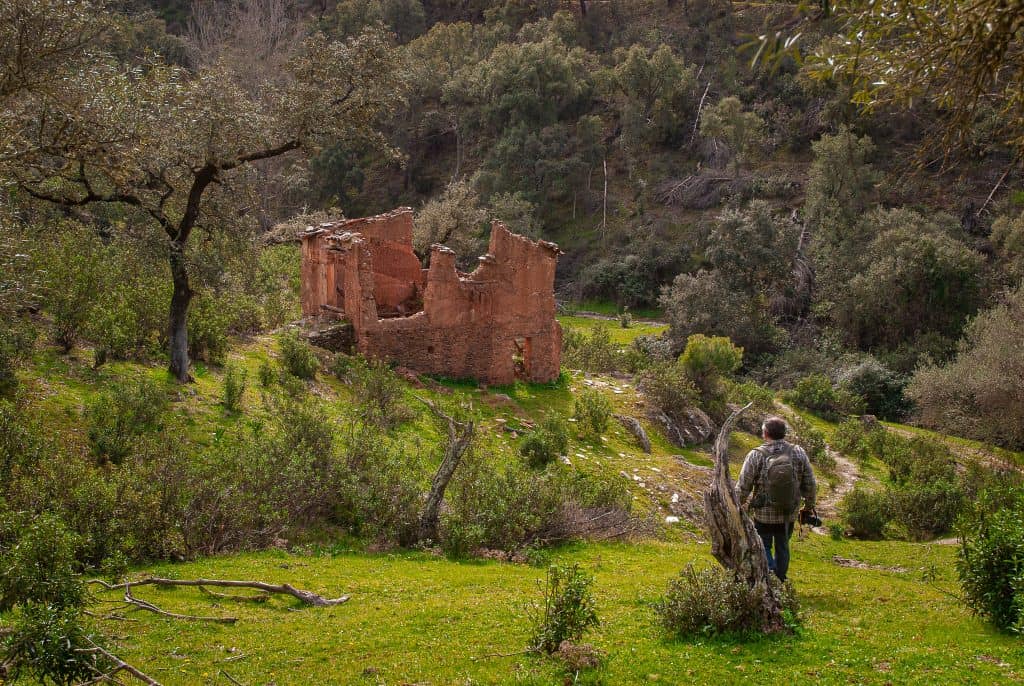  Sierra de Aracena in Picos y Aroche Huelva