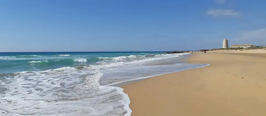 ElPalmarWaves0419 6029ca0c def7797e 1920w 1