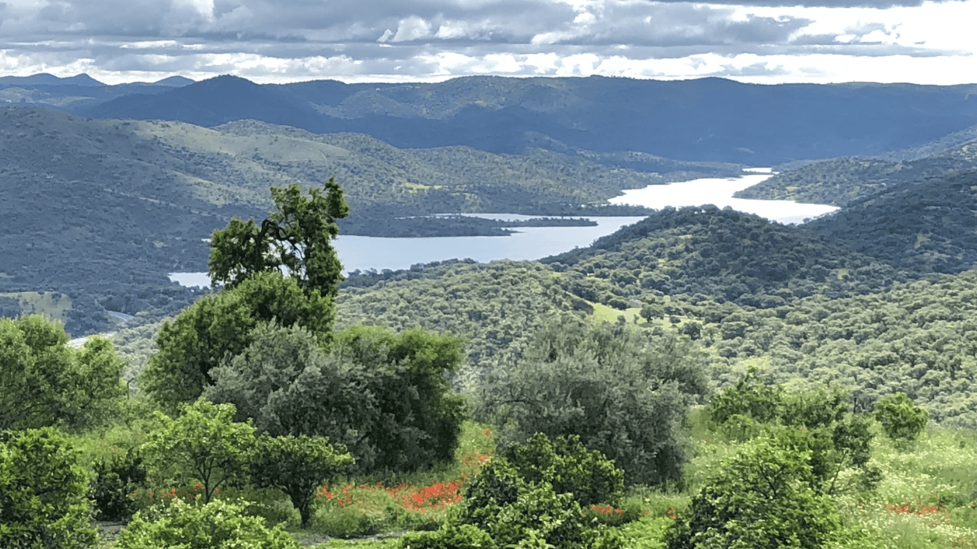 Mapa de la ruta Circular en Zufre (8 km – 2 h 30):