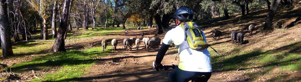 cycle touring 01