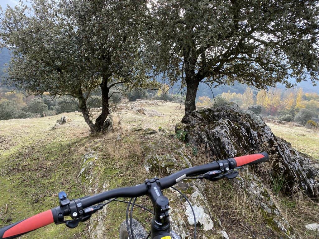 bike week5